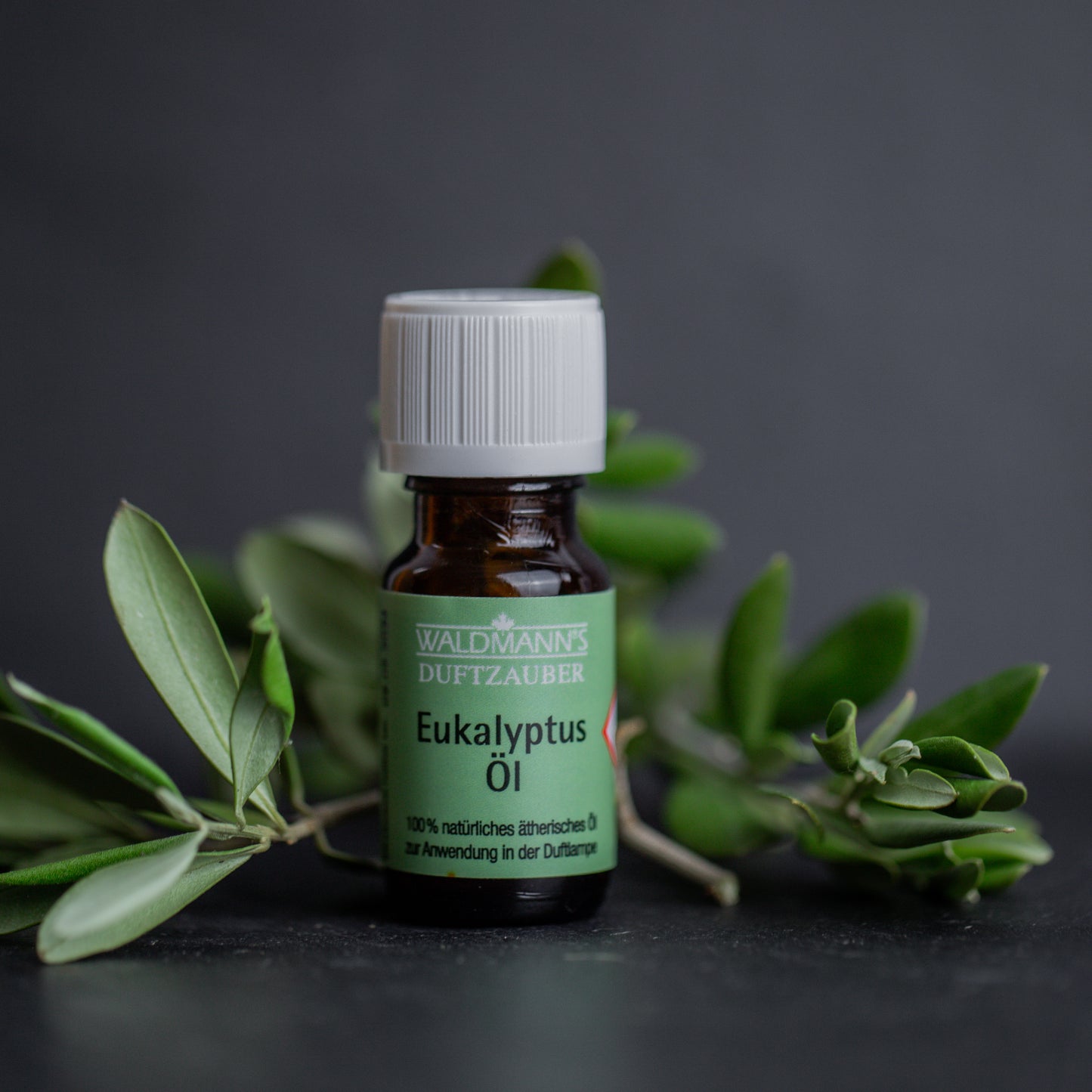 Eukalyptus Duftöl 10ml (Art.-Nr. 8115)