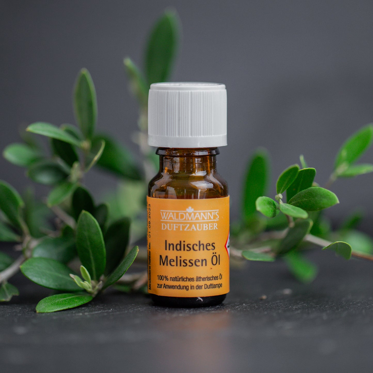 Indisches Melissen Öl auf dunklem Untergrund mit grünblättrigem Zweig